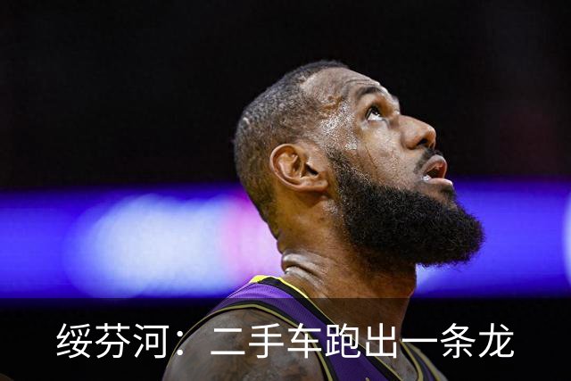 绥芬河：二手车跑出一条龙